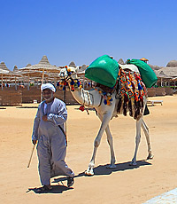 Своими глазами